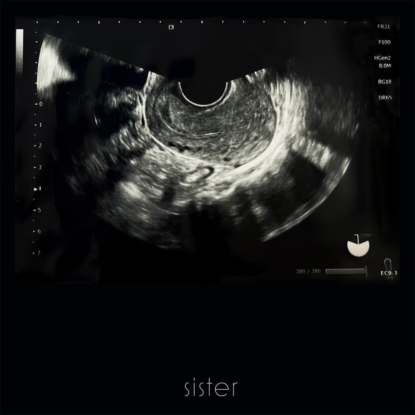 sister album cover